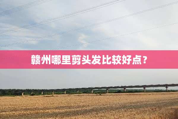 赣州哪里剪头发比较好点？