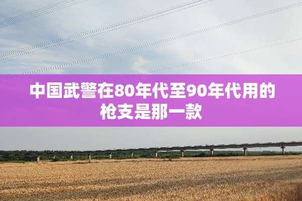 中国**在80年代至90年代用的*支是那一款