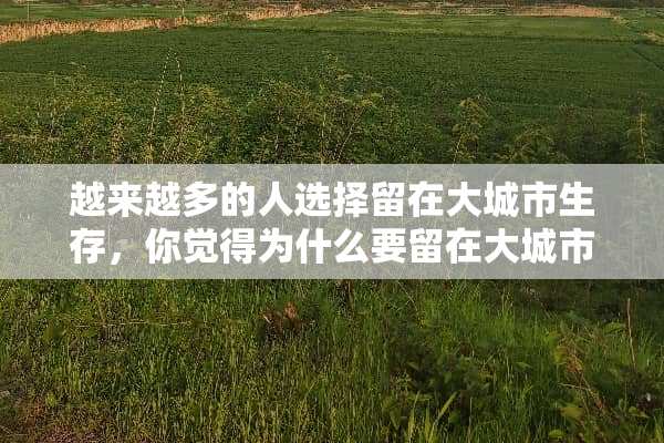 越来越多的人选择留在大城市生存，你觉得为什么要留在大城市生活呢？