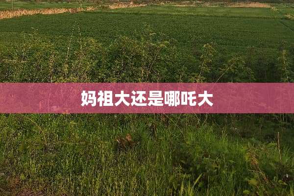 妈祖大还是哪吒大