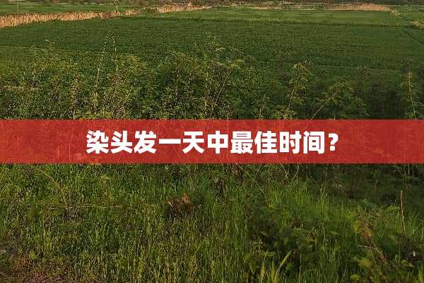 染头发一天中最佳时间？