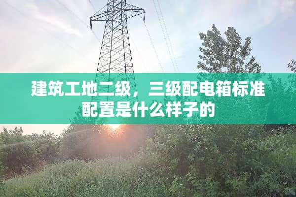 建筑工地二级，**配电箱标准配置是什么样子的