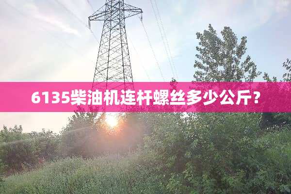 6135柴油机连杆螺丝多少公斤？