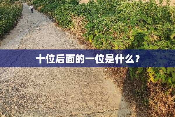 十位后面的一位是什么？