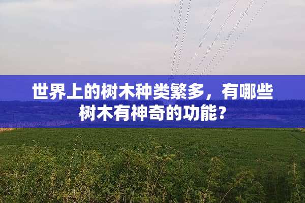 世界上的树木种类繁多，有哪些树木有神奇的功能？