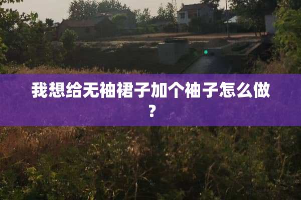 我想给无袖裙子加个袖子怎么做？