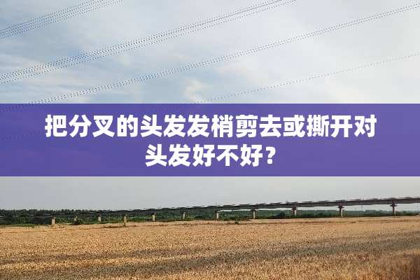 把分叉的头发发梢剪去或撕开对头发好不好？