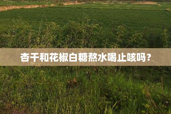 杏干和花椒白糖熬水喝止咳吗？