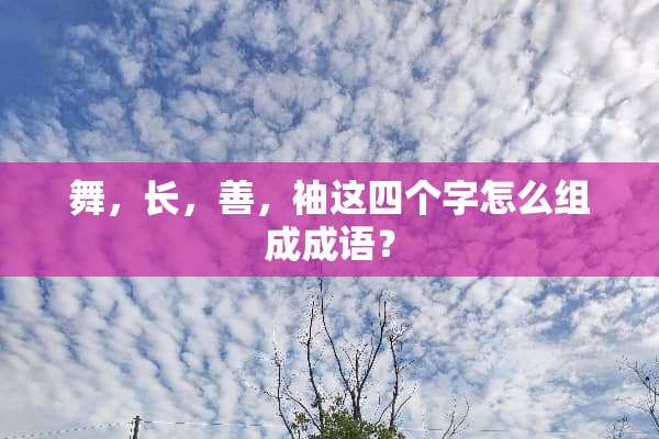 舞，长，善，袖这四个字怎么组成成语？