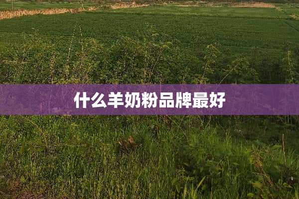 什么羊奶粉品牌最好