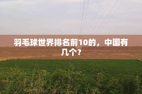 羽毛球世界排名前10的，中国有几个？