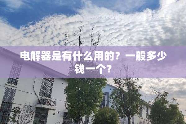 电解器是有什么用的？一般多少钱一个？