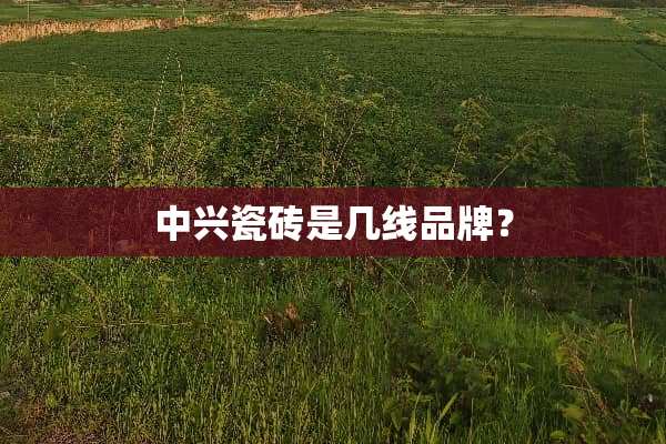中兴瓷砖是几线品牌？
