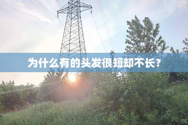 为什么有的头发很短却不长？