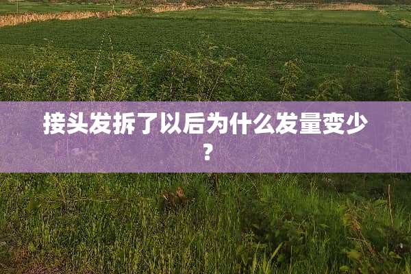 接头发拆了以后为什么发量变少？