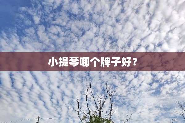 小提琴哪个牌子好？