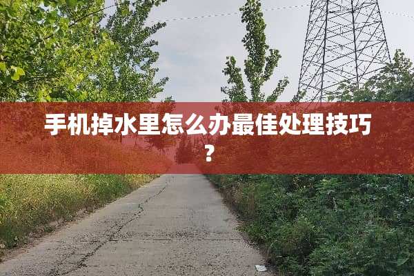 手机掉水里怎么办最佳处理技巧？