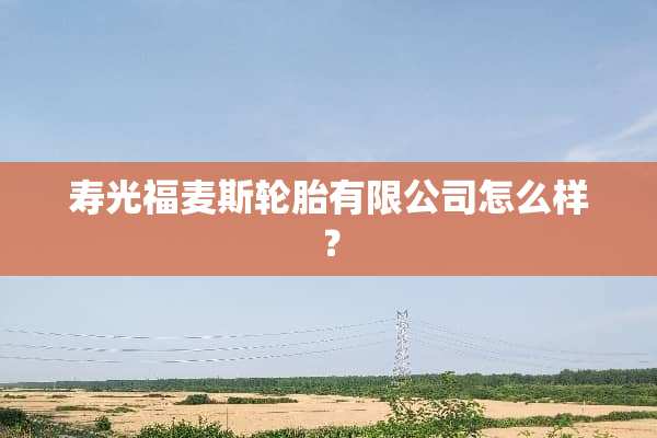 寿光福麦斯轮胎有限公司怎么样？