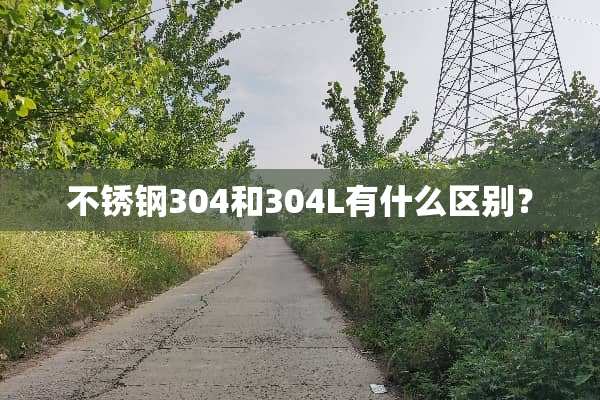 不锈钢304和304L有什么区别？