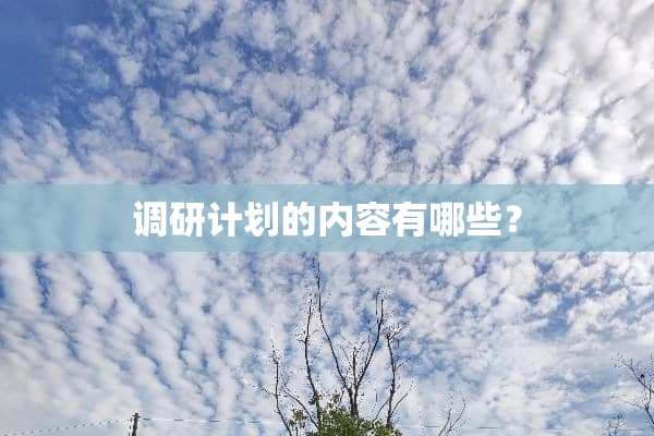 调研计划的内容有哪些？