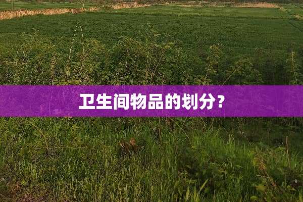 卫生间物品的划分？