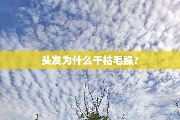 头发为什么干枯毛躁？