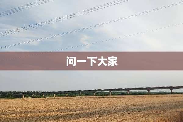 问一下大家