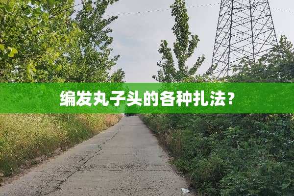 编发丸子头的各种扎法？