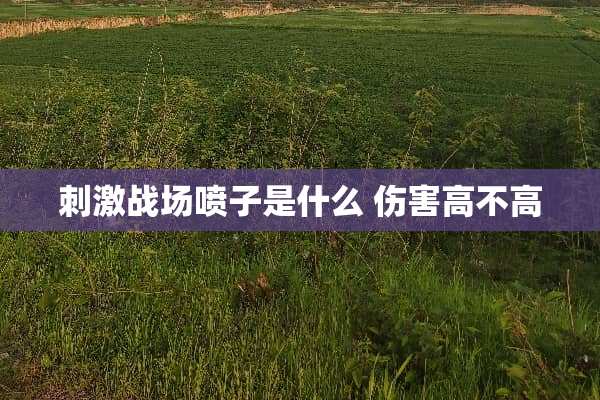 **战场喷子是什么 伤害高不高