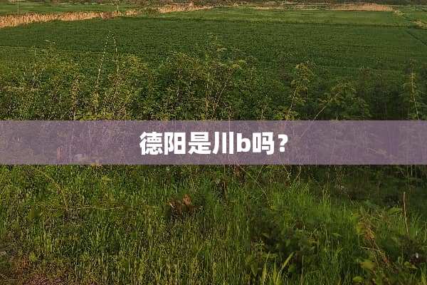 德阳是川b吗？