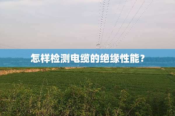 怎样检测电缆的绝缘性能？