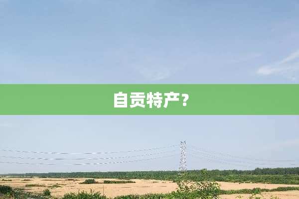 自贡特产？