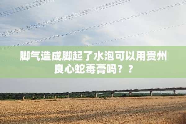 脚气造成脚起了水泡可以用贵州良心蛇毒膏吗？？