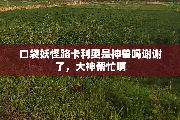 口袋妖怪路卡利奥是神兽吗谢谢了，大神帮忙啊