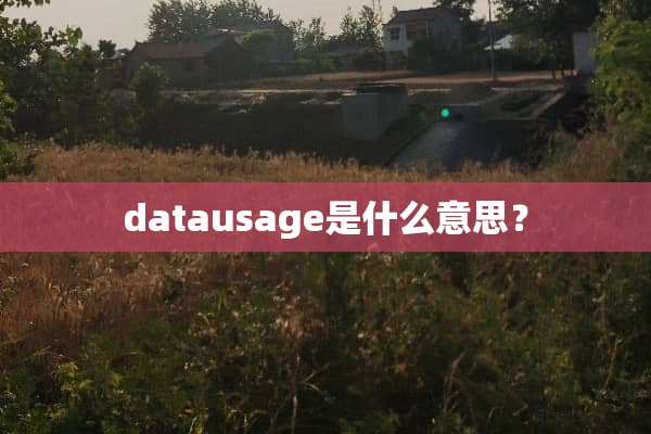 datausage是什么意思？