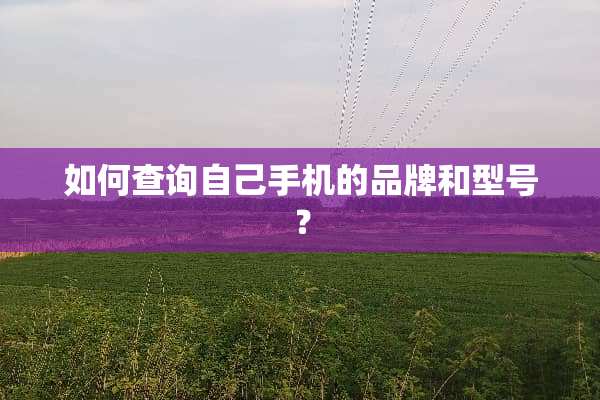 如何查询自己手机的品牌和型号？