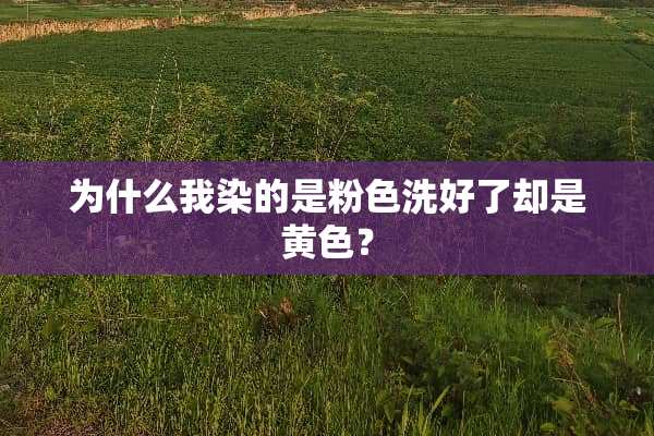为什么我染的是粉色洗好了却是黄色？