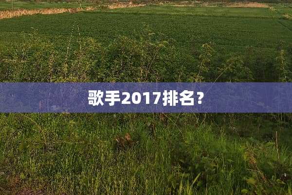 歌手2017排名？