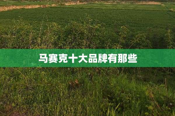 马赛克十大品牌有那些