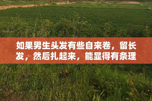 如果男生头发有些自来卷，留长发，然后扎起来，能显得有条理整齐嘛？