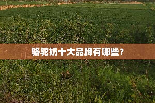 骆驼奶十大品牌有哪些？