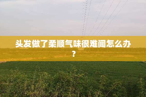 头发做了柔顺气味很难闻怎么办？