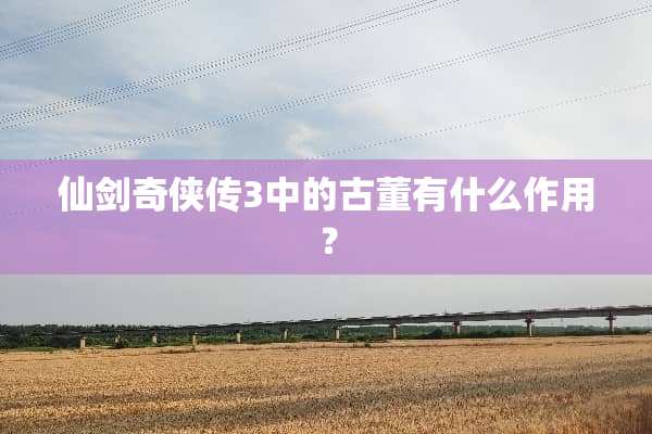 仙剑奇侠传3中的古董有什么作用？