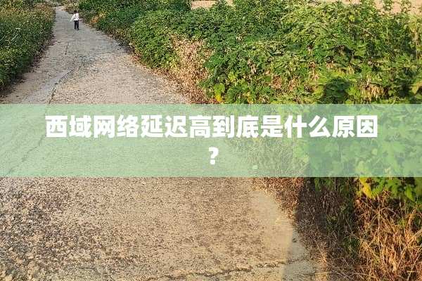 西域网络延迟高到底是什么原因？