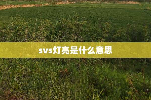 svs灯亮是什么意思