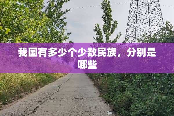 我国有多少个少数民族，分别是哪些