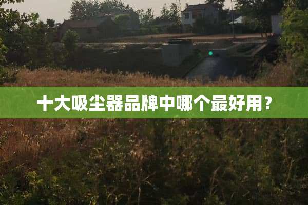 十大吸尘器品牌中哪个最好用？