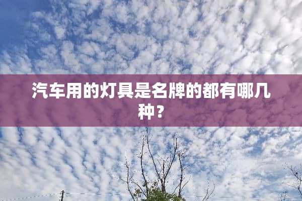 汽车用的灯具是名牌的都有哪几种？