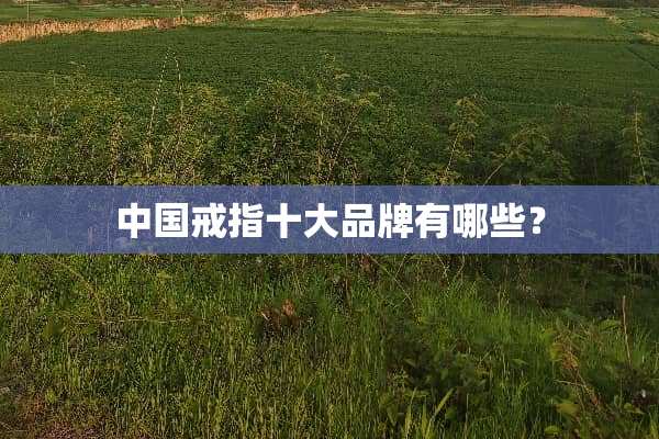 中国戒指十大品牌有哪些？