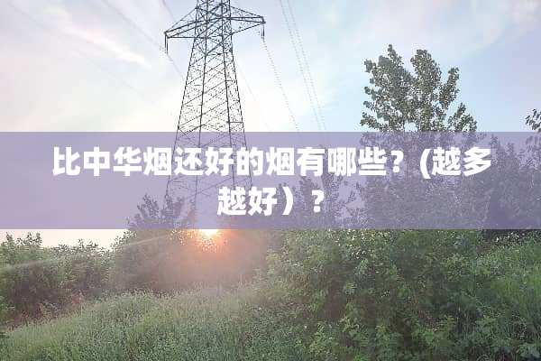 比中华烟还好的烟有哪些？(越多越好）？